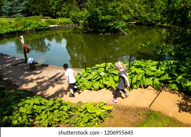 Children Running To The Pond In Hylands Park, House, Chelmsford