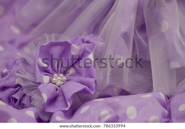 Children S Ballet Skirt Hairpins Hair Stock Photo Edit Now 786333994