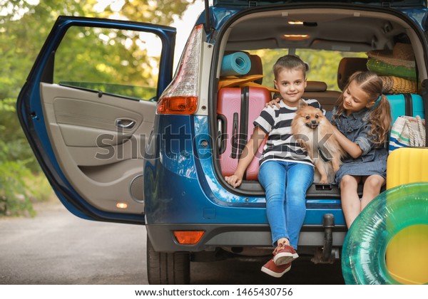 Children sitting in\
trunk of car with\
luggage