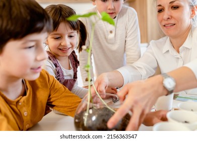 Children With Their Teacher Doing A Science Project With Plants. STEM In Education Concept.