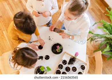 Children With Their Teacher Doing Science Project With Plants. STEM In Education Concept.