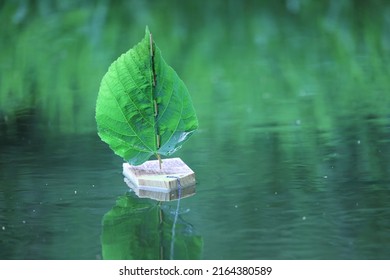 Children Toy Sailboat Wood And Leaf On The Water