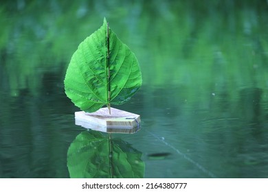 Children Toy Sailboat Wood And Leaf On The Water