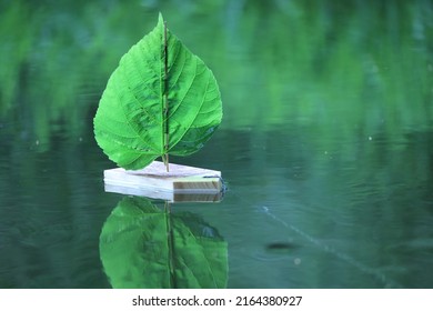 Children Toy Sailboat Wood And Leaf On The Water