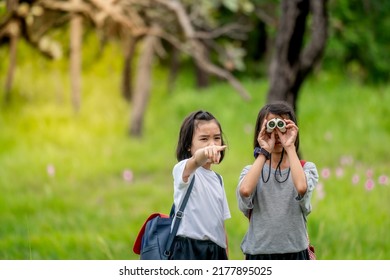 Children Travel In Flower Field And Holding Binoculars Looking On Green Nature Background, Asian Family Child Playful For Learning Outdoors In Forest, Kids Journey In Beautiful Nature In Relax Summer