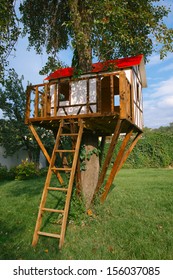 Children Tree House On Backyard