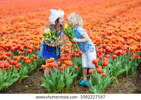 Children in tulip flower field with windmill in Holland. Little Dutch girl and boy in traditional national costume, wooden clogs and hat, with flower bouquet. Kid in tulips fields in the Netherlands.