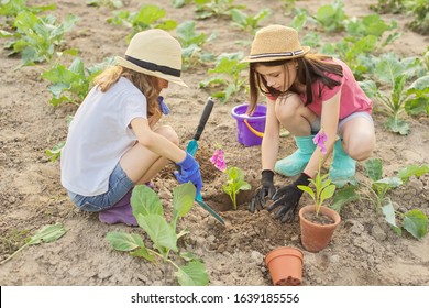 Children Two Beautiful Girls In Hats With Flowers In Pots, Gloves With Garden Tools, Planting Plants In Ground. Background Spring Summer Landscape, Nature, Sky