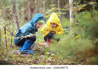 Children in village walk through the autumn forest and gather mushrooms. Children in nature are walking in nature. Rural walk in autumn. - Powered by Shutterstock