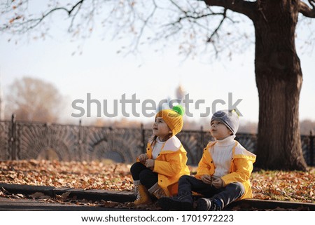 Similar – Image, Stock Photo Autumnal play of colours Dahlie in front of a blurred background