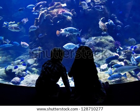 Children watching fish in a large Aquarium