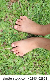 Children's bare feet. Child's bare feet on the grass
