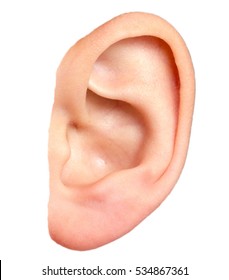 children's ear on a white background. macro - Shutterstock ID 534867361