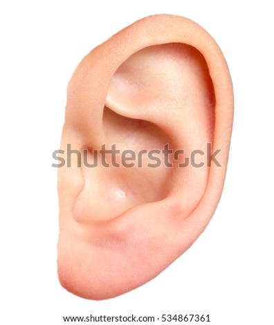 children's ear on a white background. macro