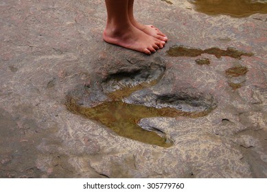 Children's feet with dinosaur footprint ,