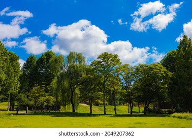 Children's Grand Park Seoul Of Field