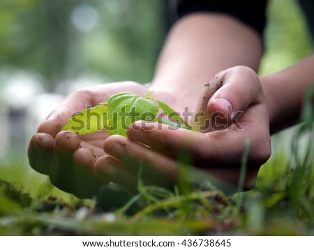 Similar – Summer greens ingredient