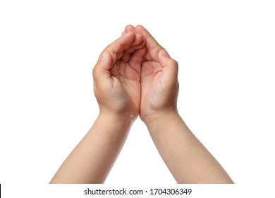  children's hands as handful. top view, isolated