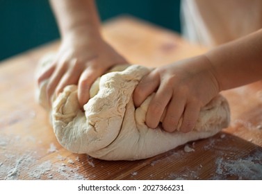 children's hands knead the dough for bread