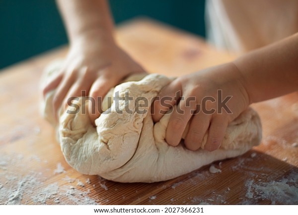 children\'s hands knead\
the dough for bread