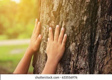 Children's Hug Big Tree, Selective Soft Focus, Concept Nature And People.