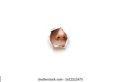 The children's nose protrudes through a torn hole in white paper. The concept of curiosity, espionage, sniffing, perfume. Background, copy space.