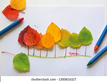 Children's picture made from autumn leaves with pencil drawing on paper