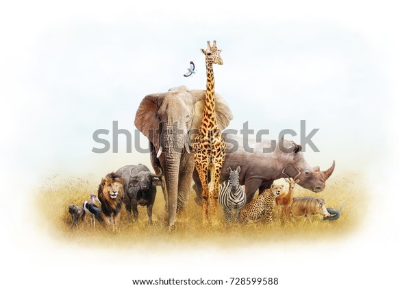 Children\'s themed African safari animal composite\
with white border