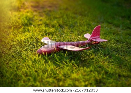 A children's toy airplane of red color lies on the green grass. Dreams of becoming a pilot. Aeromodelling. The plane landed at sunset.