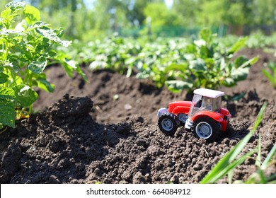 Childrens Tractor In A Potato Field Childrens Tractor In A Potato Field