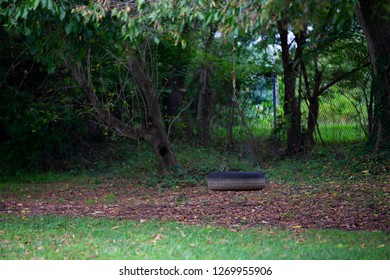 Children's Tree Swing Tire Swing Still Under The Trees In The Fall Leaves And Winter