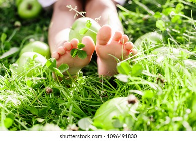 Child's Bare Feet On A Green Grass With A Clover And Green Apples. Summertime. Outside. Park. Healthy Lifestyle. 