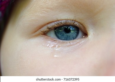 Child's blue eye crying, tear.