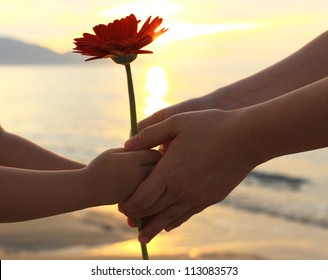 Child's Delivering A Flower (daisy) To An Important Person During A Special Moment.