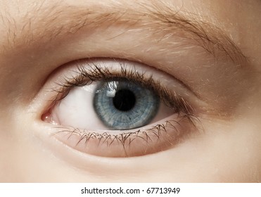  Child's Eye - Macro