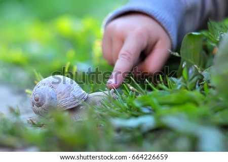 Child's finger pointing on the snail.