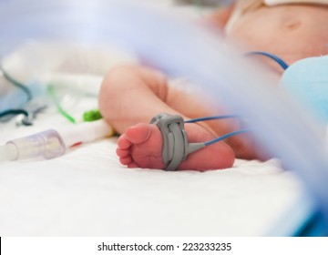 Child's foot with oximeter in intensive care unit