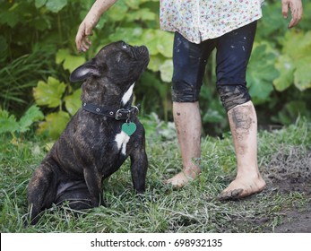 The Child's Foots In The Mud. Dog