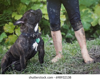 The Child's Foots In The Mud. Dog