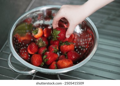 Child's hand holding freshly picked strawberry that has just been washed in a kitchen sink - Powered by Shutterstock