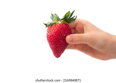 Childs hand holding a red strawberry isolated on wihte background. Minimal, natural, summer fruit arrangement. Organic, raw food. Concept - Eating ugly fruits and vegetables