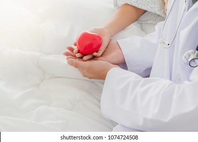 Child's Hand And Male Doctor Hold Red Heart Lying On Bed In The Hospital.Concept Of Health Care And Love In Hospitals.