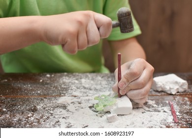 Child's Hand Is Playing With The Archaeological Set. Child Digging A Dinosaur.  Boy Have Fun With Archaeology Excavation Kit