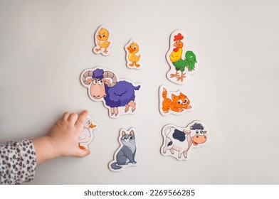 The child's hand reaches for the magnets with the image of animals - Powered by Shutterstock