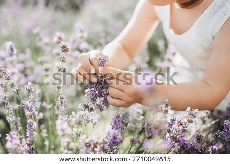 Child's hands exploring and picking delicate lavender flowers in a blooming field, connecting with nature and experiencing natural beauty