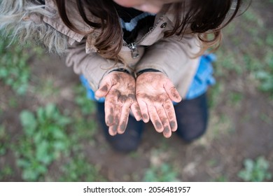 The Child's Hands Are Full Of Mud