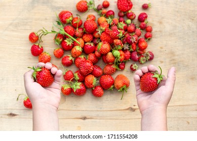Child's hands holding Freshly picked juicy strawberries on wooden background. Natural organic food production. Heap of summer red berries. Homegrown, gardening and agriculture consept. Healthy eating