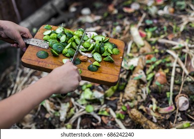 child's hands throwing out kitchen waste from the vintage cutting board to the garden compost heap for recycling and fertilizer  - Shutterstock ID 686242240