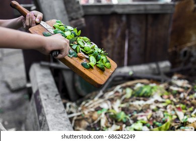 child's hands throwing out kitchen waste from the vintage cutting board to the garden compost heap for recycling and fertilizer  - Shutterstock ID 686242249
