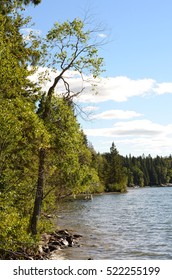 Child's Lake Shoreline, Duck Mountain Provincial Park, Manitoba 